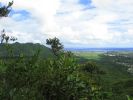 Maunawili Demonstration Trail